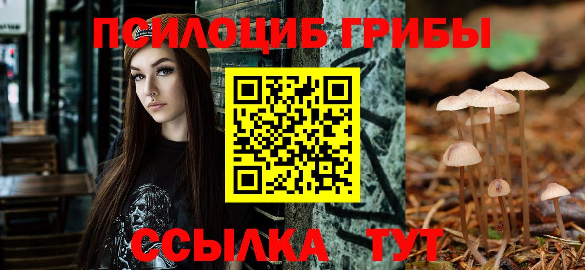 Псилоцибиновые грибы прущие грибы  Вход с VPN  Сергиев Посад 