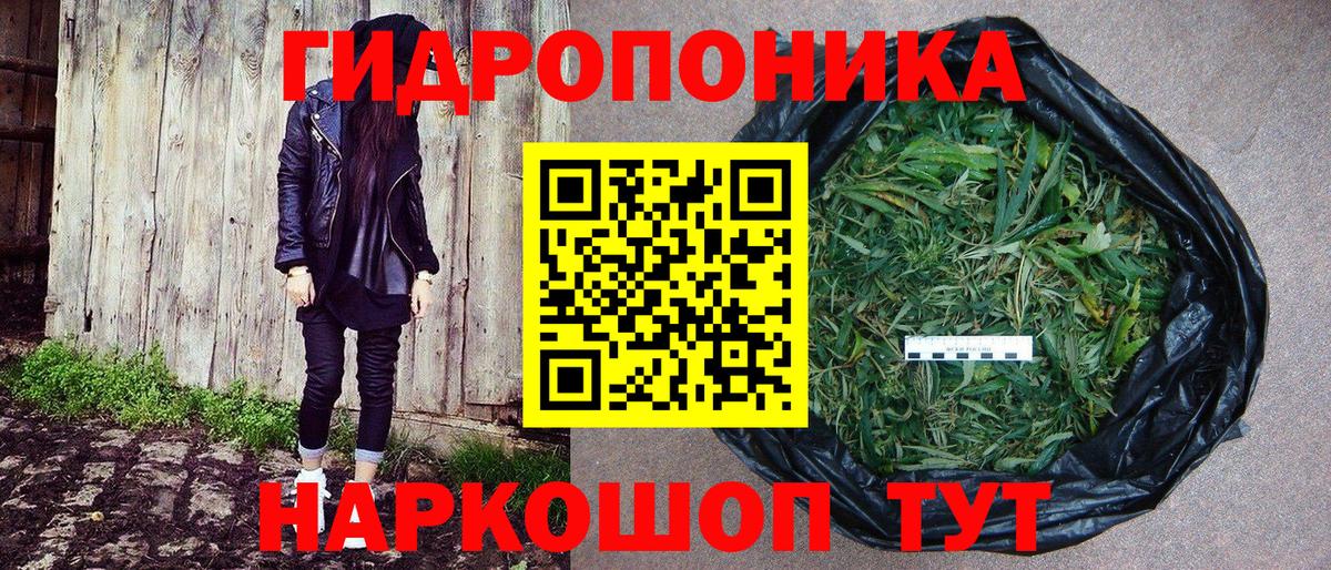 Шишки марихуана тримм  Вход с VPN  Сергиев Посад  Конопля марихуана  Конопля MAZAR 